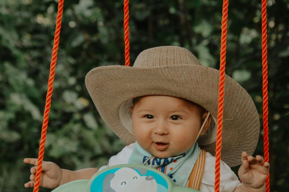 portable baby swing and bouncer